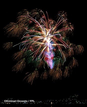 floral shell of shells_crystal flower